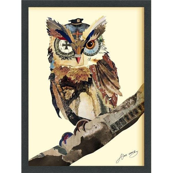 Empire Art Direct Empire Art Direct DAC-022-2519B The Wisest Owl - Dimensional Art Collage Hand Signed by Alex Zeng Framed Graphic Wall Art DAC-022-2519B
